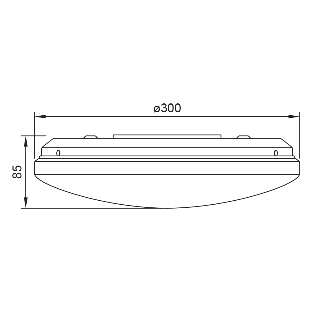 Product dimensions