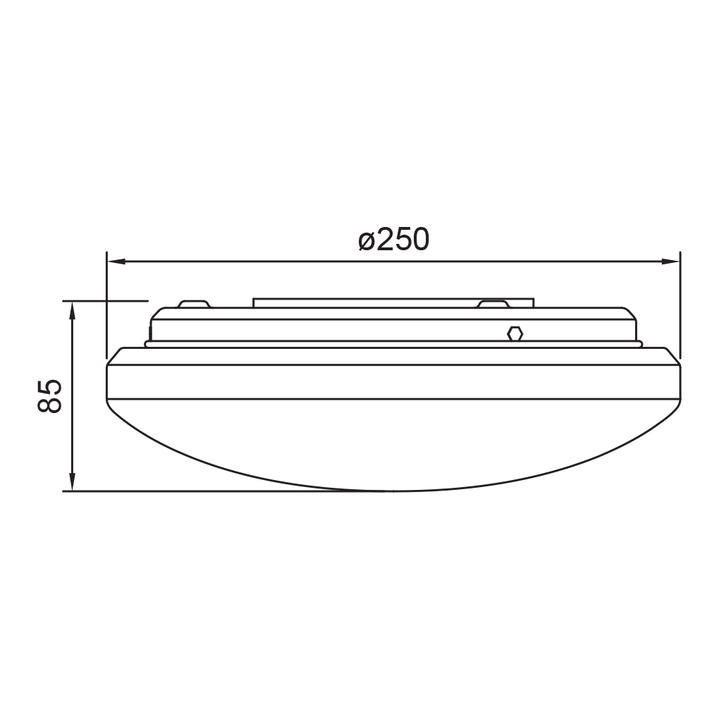 Product dimensions